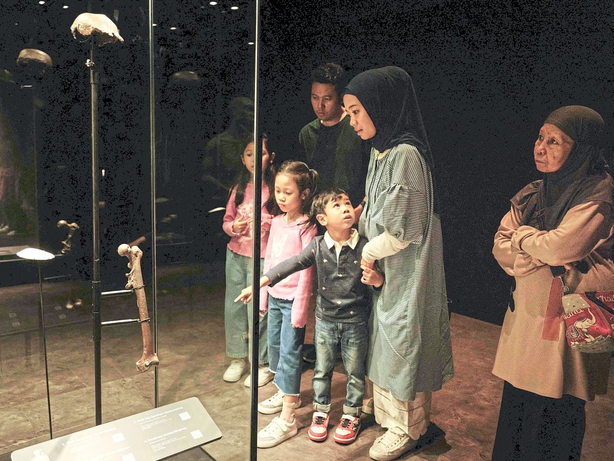 The National Museum of Indonesia will showcase the fossils and artefacts repatriated from the Netherlands, offering a rare glimpse into the archipelago’s deep history and scientific legacy. Photo: AFP