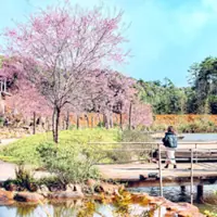 Vietnam estimated to welcome 21.5 million international arrivals in 2025