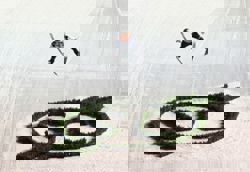 Ski Jumping- Slovenia's Prevc sets pace in Four Hills with Oberstdorf victory