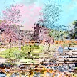 Vietnam estimated to welcome 21.5 million international arrivals in 2025