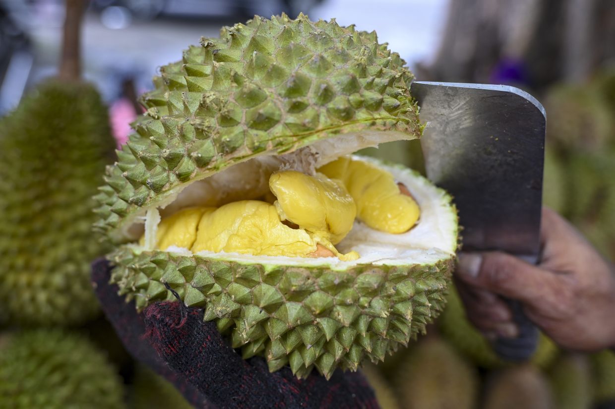 Durian sales surge in Singapore after Musang King prices plunge in Malaysia