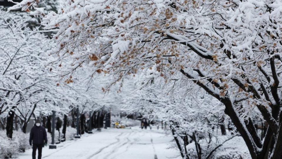 S. Korea set for icy cold start to 2026, with low of minus 15 deg C expected on Jan 1