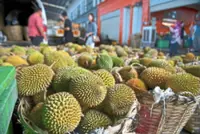 Sarawak durian ‘happy hour’ smells like a good deal
