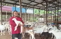 Taking setbacks by the horns