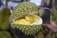 Durian sales surge in Singapore after Musang King prices plunge in Malaysia