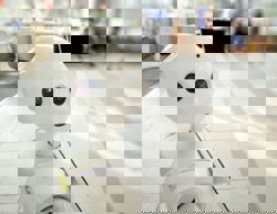 Opinion: In 2026, AI systems will be less reliable than forecasted