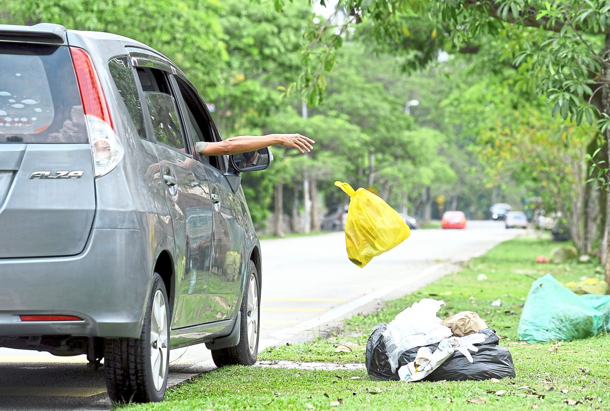 Litterbugs and pet owners who do not pick up after their animals, may have to do up to 12 hours of community service.