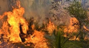 Life-threatening bushfire in Western Australia prompts evacuation order