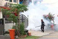 Don’t conduct fogging on festive holidays