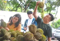 New system to track origins of local durians