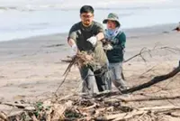 Brunei forest park revamp underway to boost ecotourism