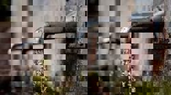 13 killed in central India after drinking contaminated tap water