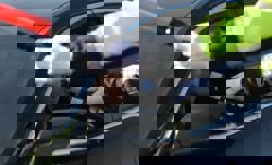 New year brings host of new rules in South Korea