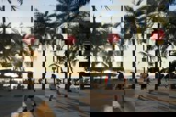 Thai fortune-teller predicts client’s bad luck, then gets arrested over stealing her phone