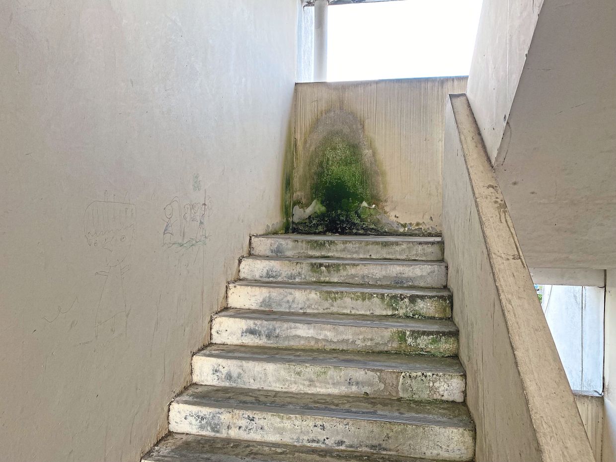 Walls and stairwells at the PPR are worn and with patches of green mould.