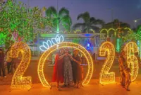 Fireworks, bells and drums greet the new year