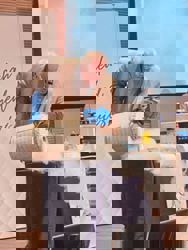 Molecular gastronomy inventor Herve This says note-by-note cooking will be the way chefs cook in the future