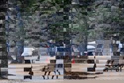 Snow expected in Tokyo and neighbouring areas