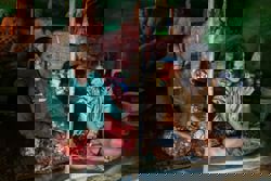 Ceasefire holds, but half million Cambodians remain displaced four days on