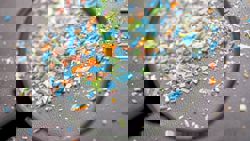 Microplastics weaken biological barrier that protects brain 