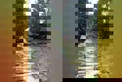 QuickCheck: Did over 50 wedding guests fall into a river in Kuala Krai after a bridge collapsed?