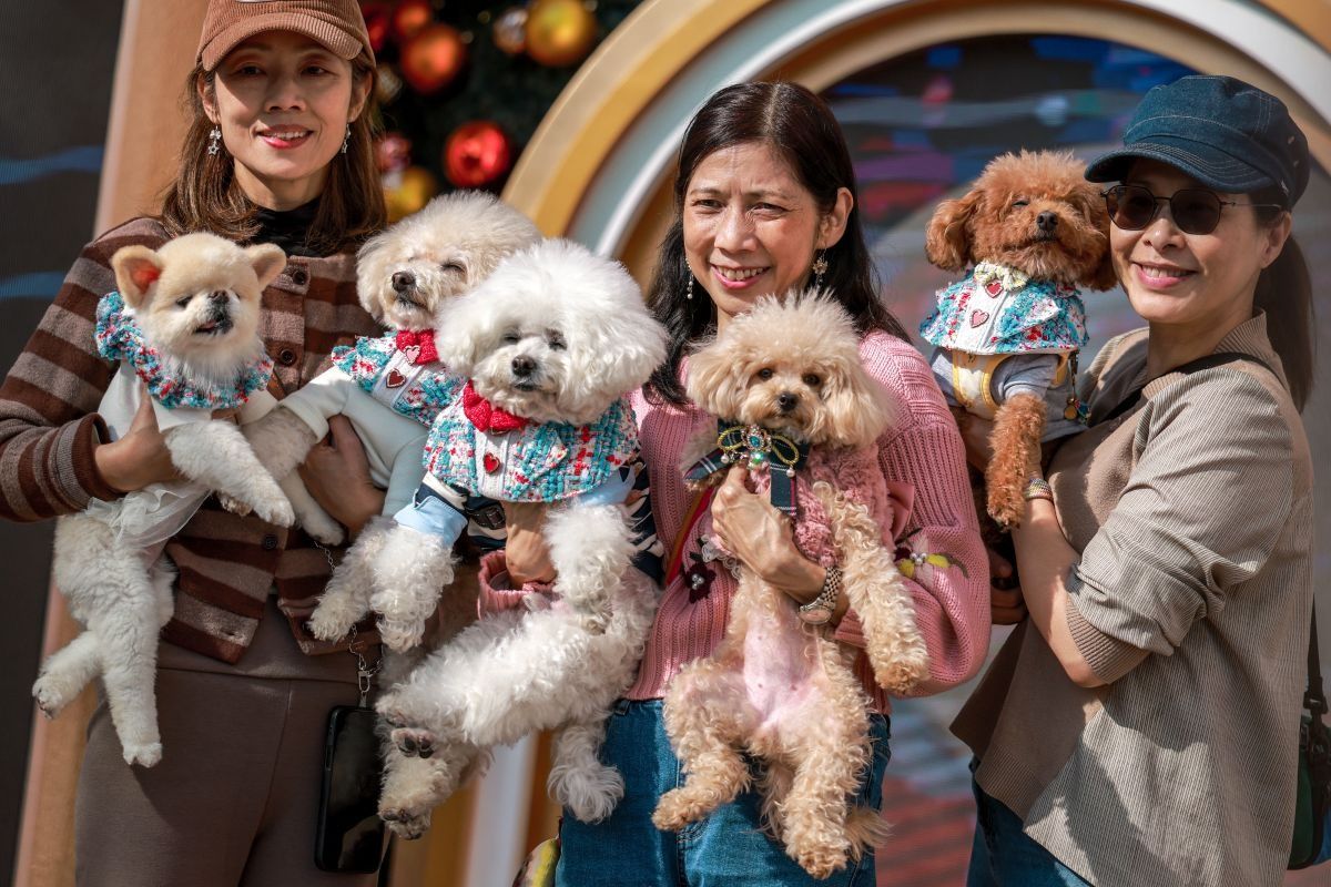 Hong Kong records the lowest temperature this winter