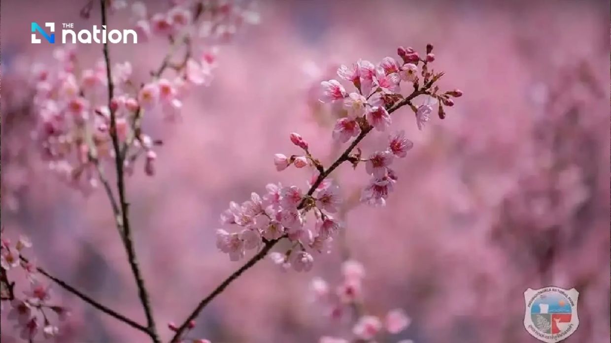 - Photo: The Nation/ANN