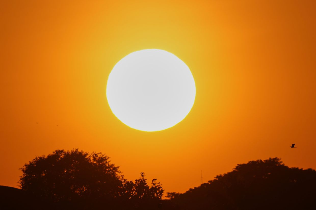 A bird flies during sunset in Naypyitaw, Myanmar. -- AP Photo/Aung Shine Oo