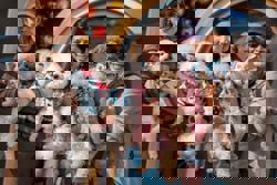 Hong Kong records the lowest temperature this winter