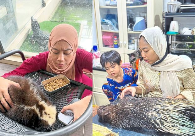 Khairul’s home for extraordinary pets