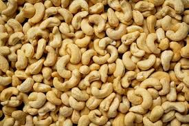 Cambodia reaps US$1.5bil from raw cashew nut exports