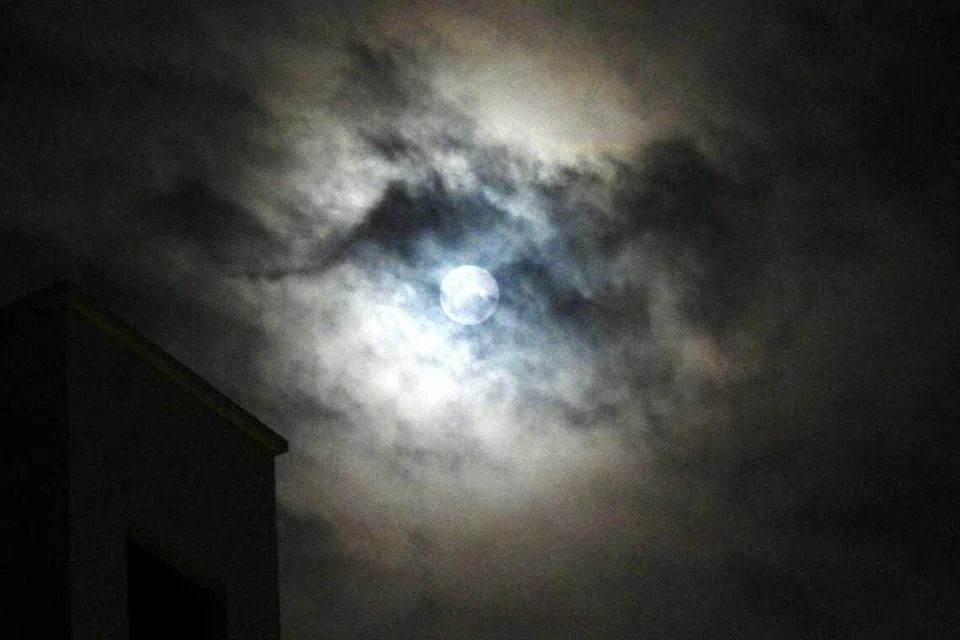 - Photo courtesy of A. Kannan