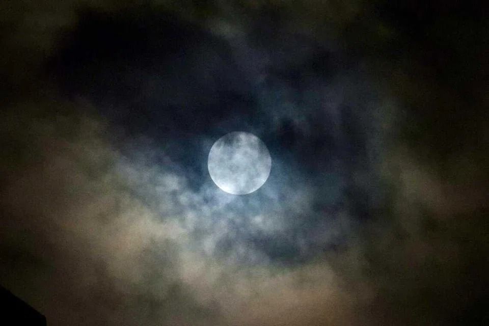 After the Jan 3 Wolf Moon, the next supermoon is not expected until Nov 24. - Photo courtesy of A. Kannan