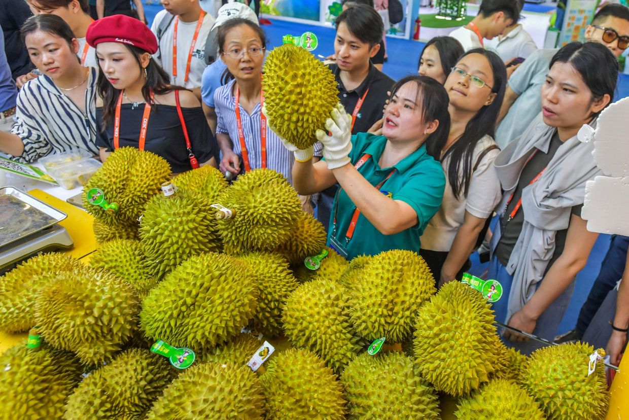Durian Wars: Vietnam set to overtake Thailand and Malaysia in Chinese market within three years, says Asean expert