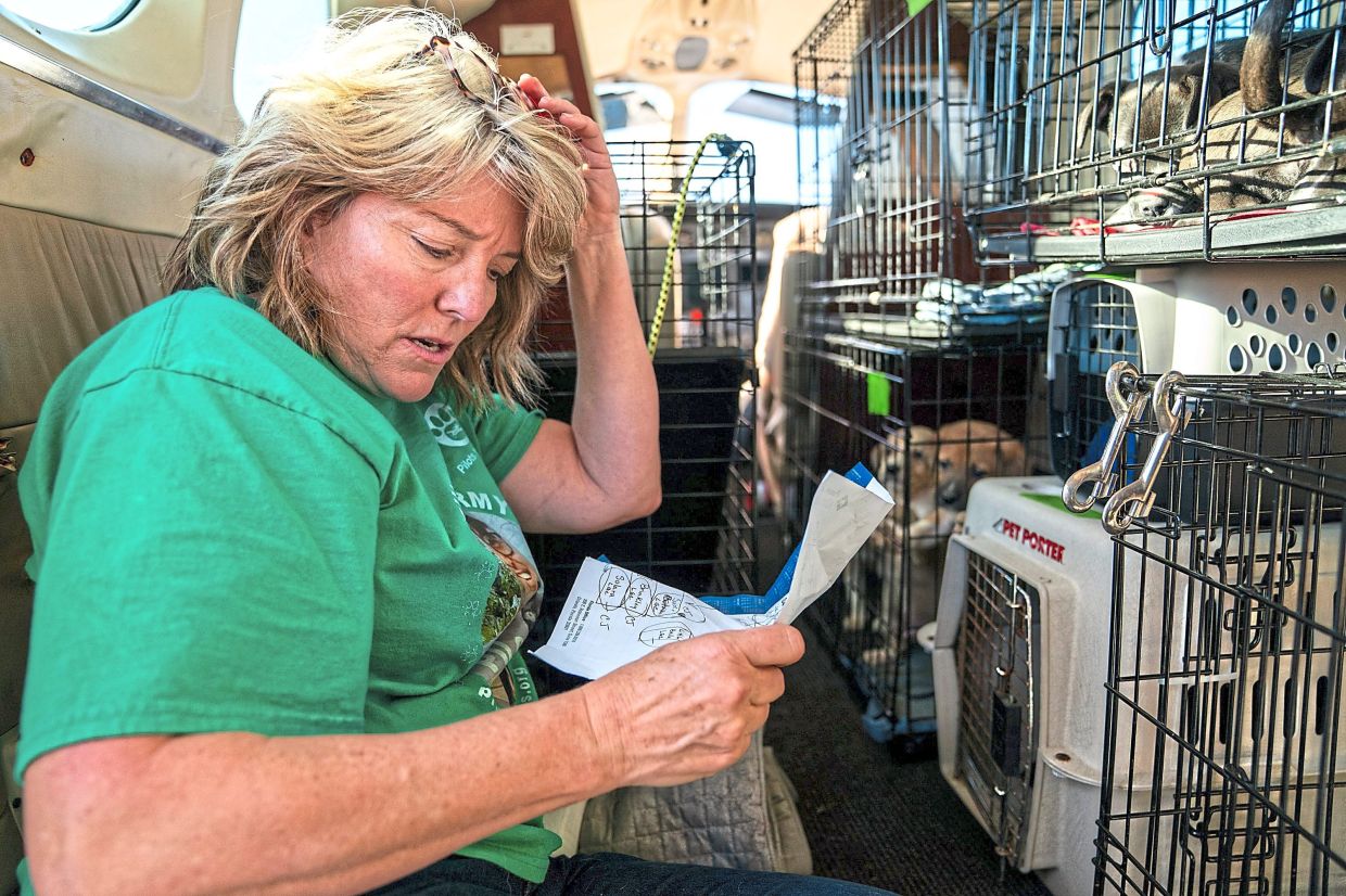 Galley going over her list of pets brought in from an overwhelmed animal shelter, that will then be flown to foster/rescue groups elsewhere.