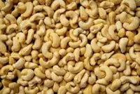 Cambodia reaps US$1.5bil from raw cashew nut exports