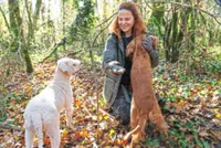 Dogs’ changes in size and shape began at least 11,000 years ago