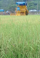 Kelantan's first agricultural museum, Muzium Pertanian, to open in June
