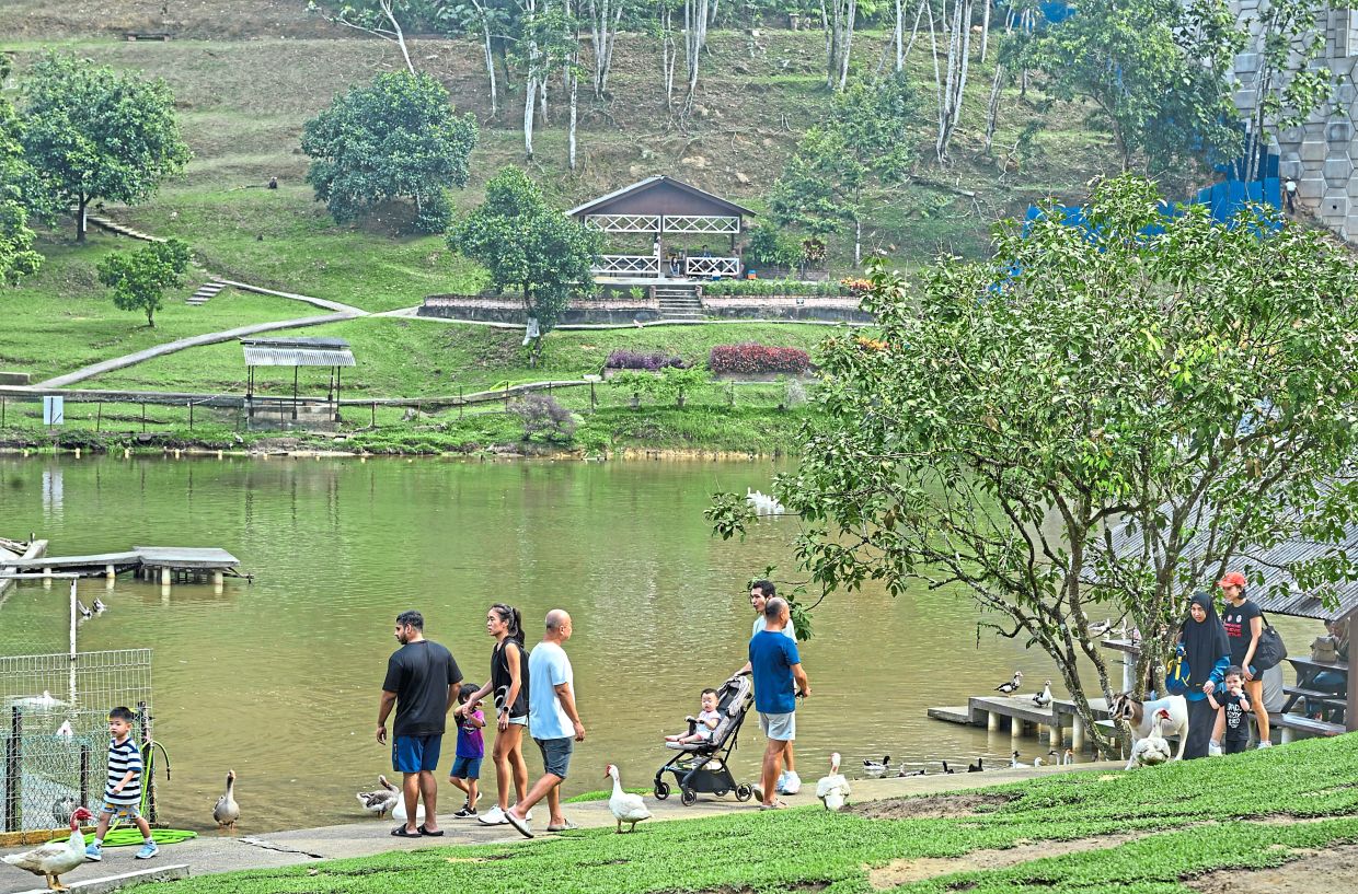 Visitors strolling around Bukit Jelutong Eco Community Park tailed by geese and ducks.— RAJA FAISAL HISHAN/The Star
