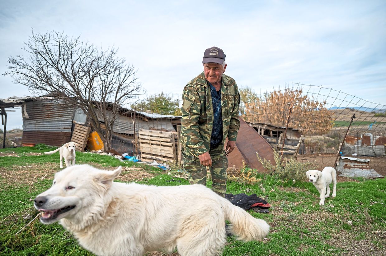 Kasparidis outside his sheep pen with his three dogs in Levea village, northern Greece.