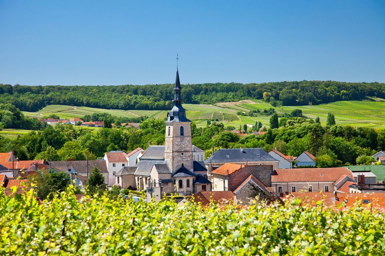 Travel through the vine-covered slopes of the Champagne region, where centuries of tradition have shaped the French countryside.