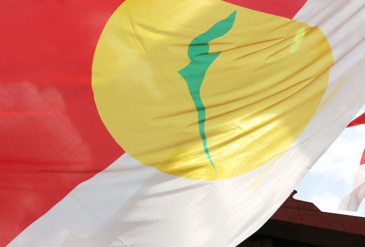 Perlis Umno to appoint community reps