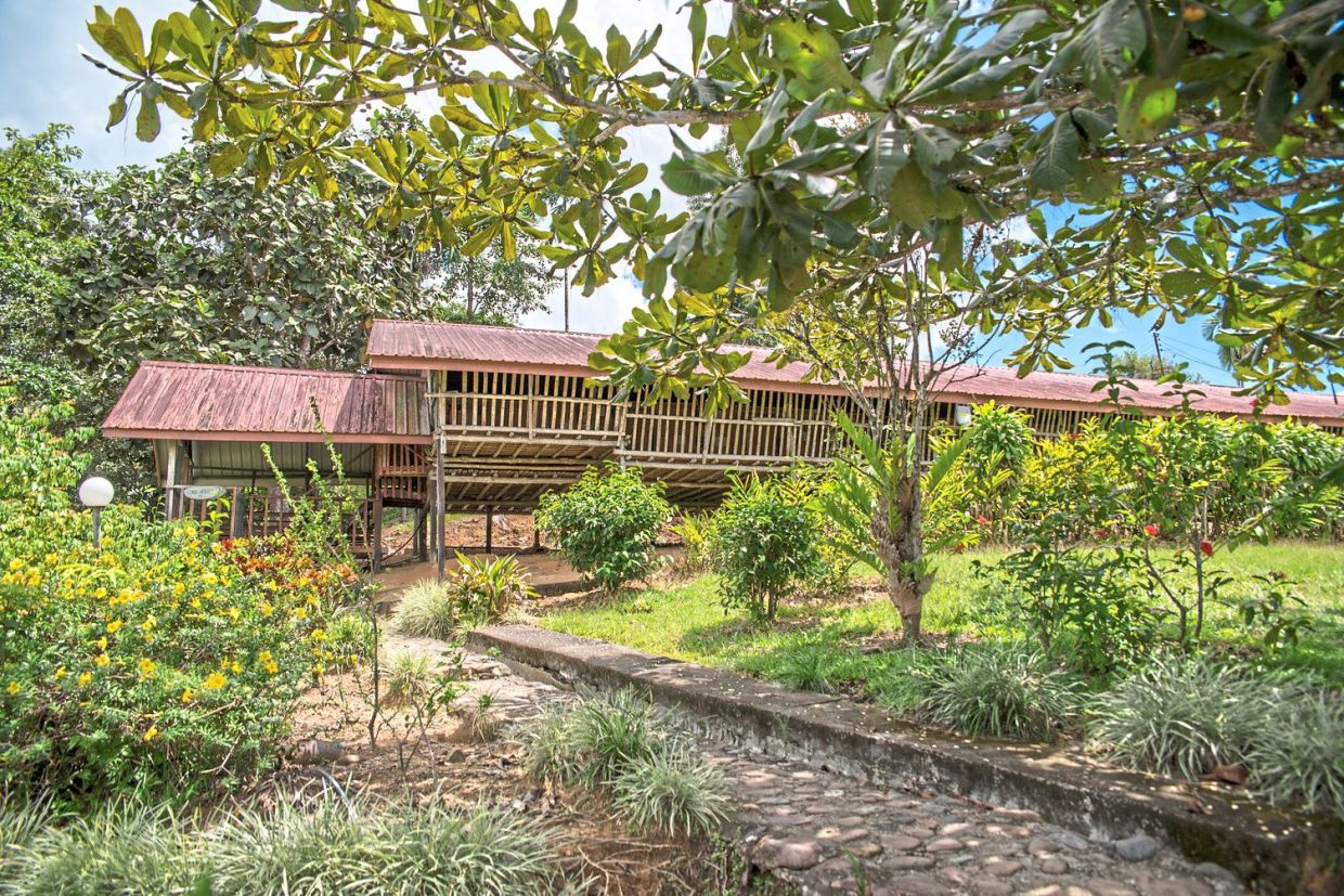 Stay at a longhouse in a tea plantation in Sabah. — Sabah Tea website