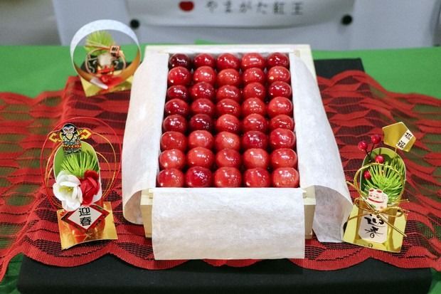Really sweet thing this - Premium cherries fetch over one million yen at Japan's 2026 year first auctions