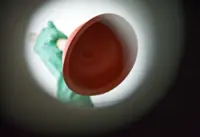 7 common plumbing headaches: Call a pro or just do it yourself?