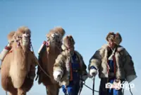 'The sun is closer on the camel’s back' festival to showcase Gobi heritage in southern Mongolia