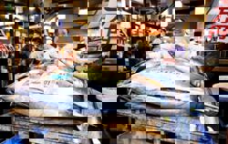 'Tuna King' pays record US$3.2mil for bluefin at Tokyo auction