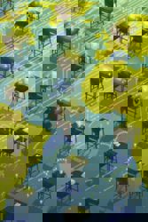 Tech giants are racing to embed AI in schools around the globe