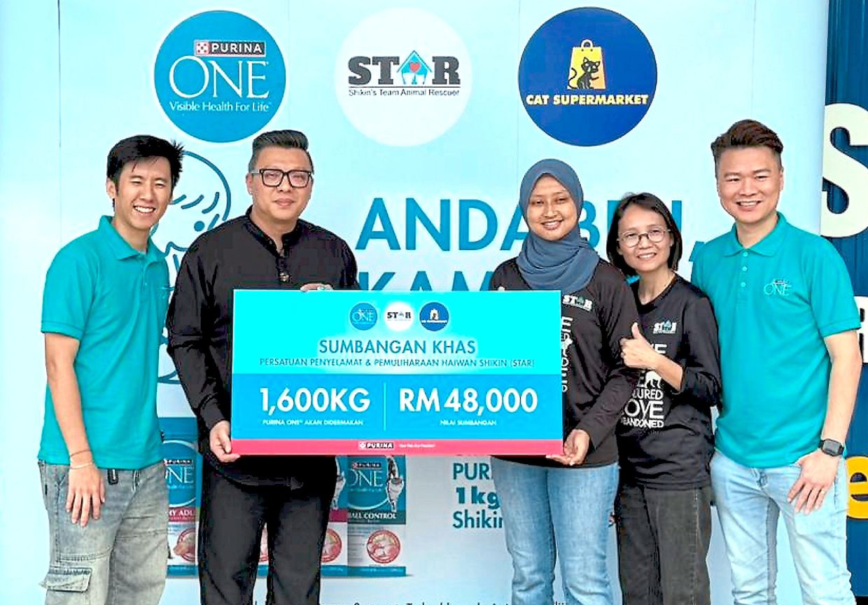 Animal rescuer in Melaka saved 400 stray cats last year