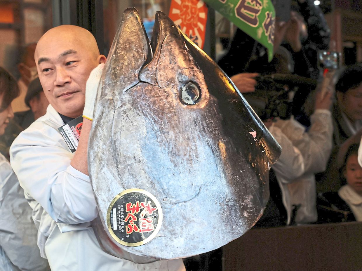 Record catch: A staff member of Kiyomura Co posing with the head of the 243kg bluefin tuna at the first auction of the year at Tokyo’s Toyosu fish market. — Reuters